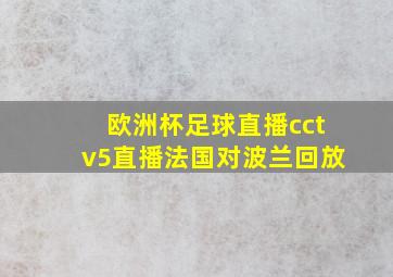 欧洲杯足球直播cctv5直播法国对波兰回放