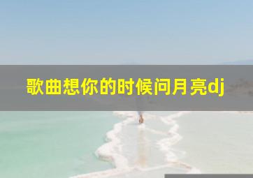 歌曲想你的时候问月亮dj