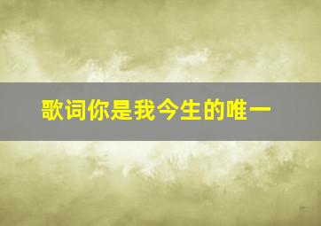 歌词你是我今生的唯一