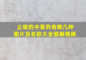 止咳的中草药有哪几种图片及名称大全图解视频