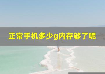 正常手机多少g内存够了呢