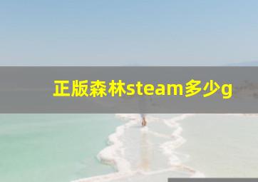 正版森林steam多少g