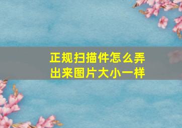 正规扫描件怎么弄出来图片大小一样