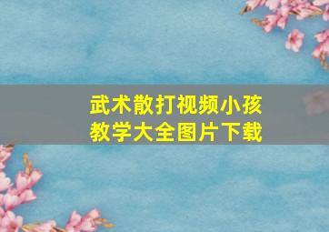 武术散打视频小孩教学大全图片下载