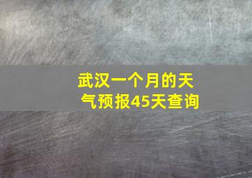 武汉一个月的天气预报45天查询