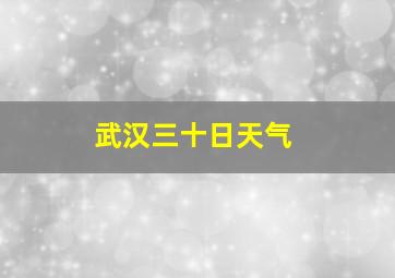 武汉三十日天气