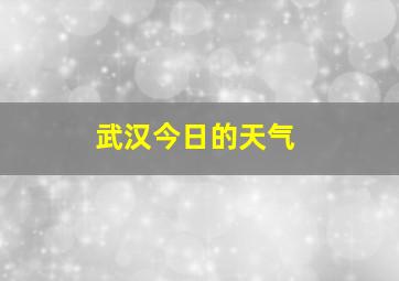 武汉今日的天气