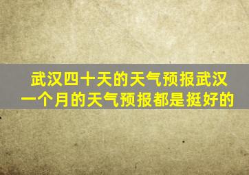 武汉四十天的天气预报武汉一个月的天气预报都是挺好的