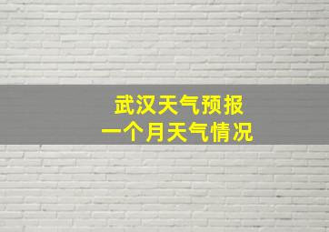 武汉天气预报一个月天气情况