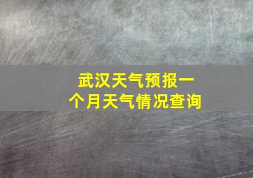 武汉天气预报一个月天气情况查询