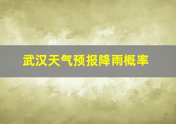 武汉天气预报降雨概率