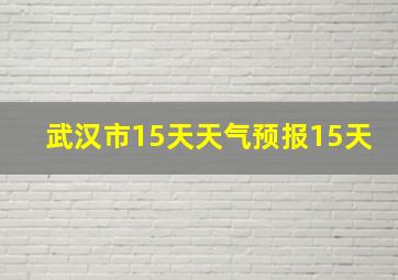 武汉市15天天气预报15天