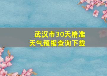 武汉市30天精准天气预报查询下载