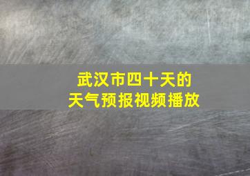 武汉市四十天的天气预报视频播放