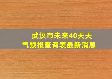 武汉市未来40天天气预报查询表最新消息