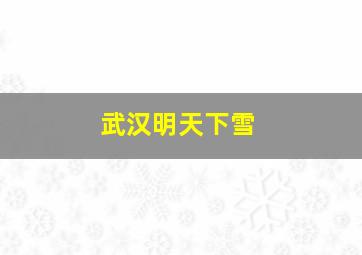 武汉明天下雪