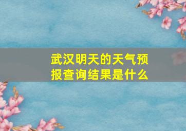 武汉明天的天气预报查询结果是什么