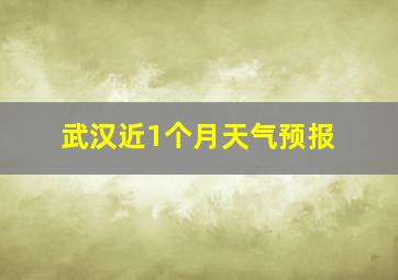 武汉近1个月天气预报