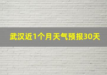 武汉近1个月天气预报30天