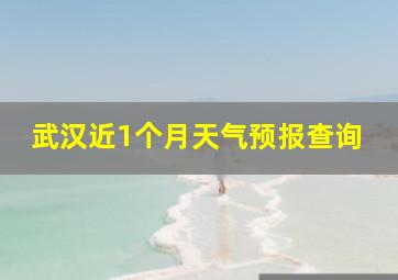 武汉近1个月天气预报查询