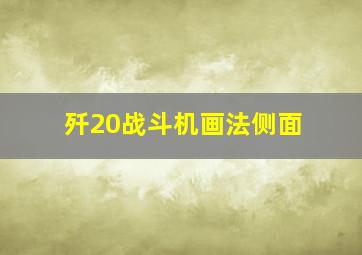 歼20战斗机画法侧面