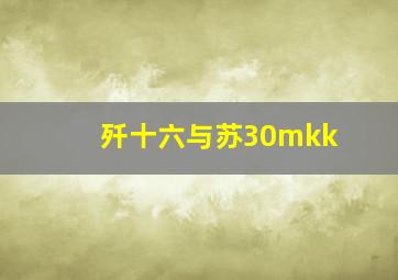 歼十六与苏30mkk