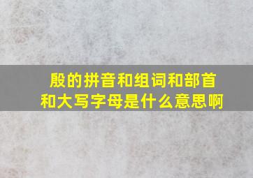 殷的拼音和组词和部首和大写字母是什么意思啊