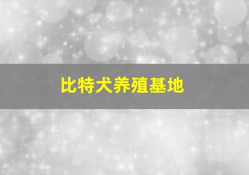 比特犬养殖基地