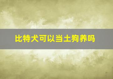 比特犬可以当土狗养吗