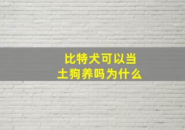 比特犬可以当土狗养吗为什么