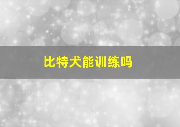 比特犬能训练吗