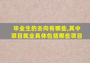 毕业生的去向有哪些,其中项目就业具体包括哪些项目