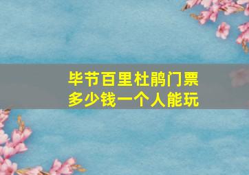 毕节百里杜鹃门票多少钱一个人能玩