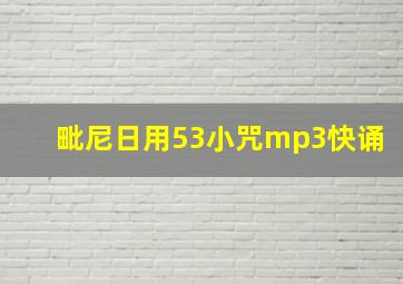 毗尼日用53小咒mp3快诵