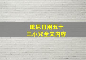 毗尼日用五十三小咒全文内容