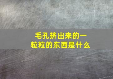 毛孔挤出来的一粒粒的东西是什么