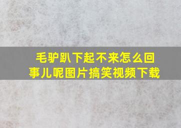 毛驴趴下起不来怎么回事儿呢图片搞笑视频下载