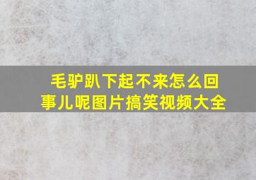 毛驴趴下起不来怎么回事儿呢图片搞笑视频大全