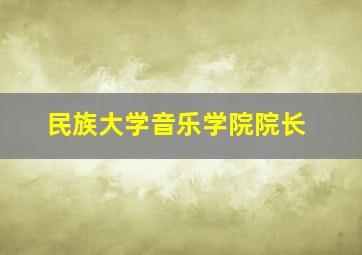 民族大学音乐学院院长