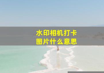 水印相机打卡图片什么意思