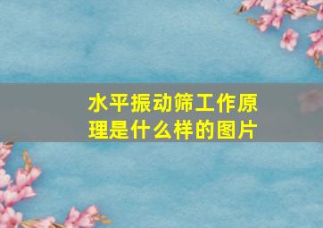 水平振动筛工作原理是什么样的图片