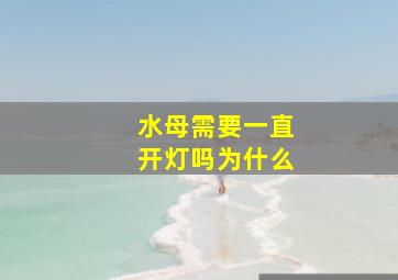 水母需要一直开灯吗为什么