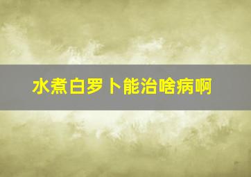 水煮白罗卜能治啥病啊