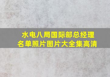 水电八局国际部总经理名单照片图片大全集高清