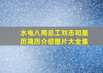 水电八局总工刘志和履历简历介绍图片大全集