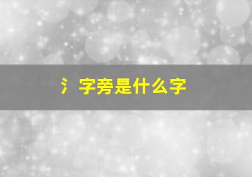 氵字旁是什么字