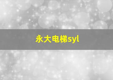 永大电梯syl