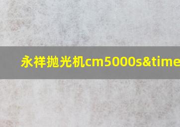 永祥抛光机cm5000s×2c