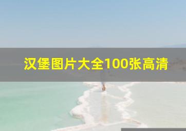 汉堡图片大全100张高清