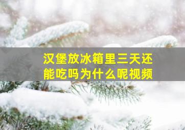 汉堡放冰箱里三天还能吃吗为什么呢视频